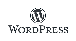 How to write a blog in WordPress (2024 Guide)?