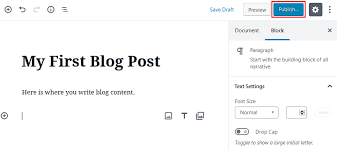 How to write a blog in WordPress (2024 Guide)?